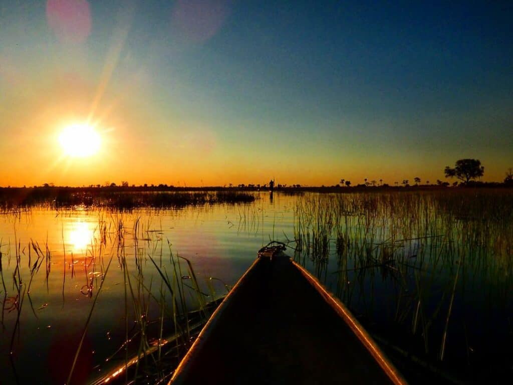 14504744 1885975264964181 2631998595129147392 n