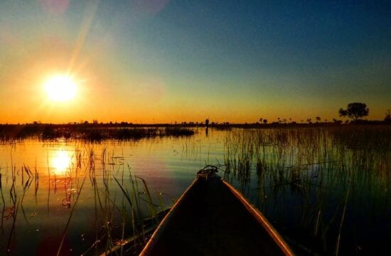 Botswana beauty