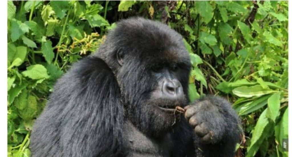 Screenshot 20190614 203445