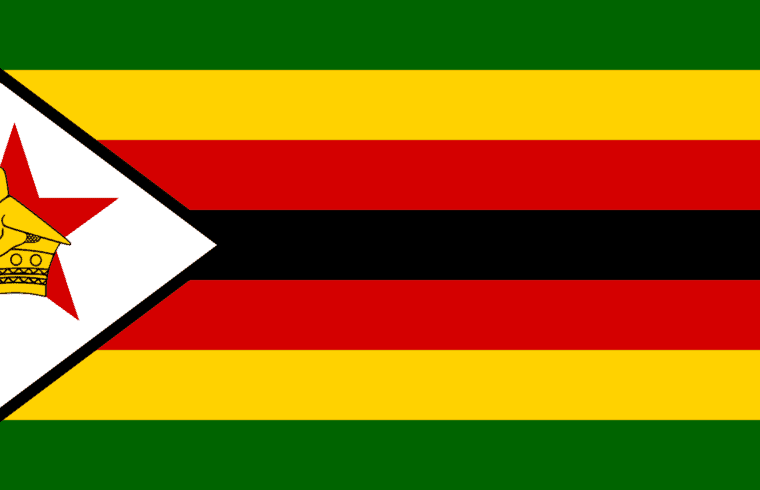 Zimbabwe CEO
