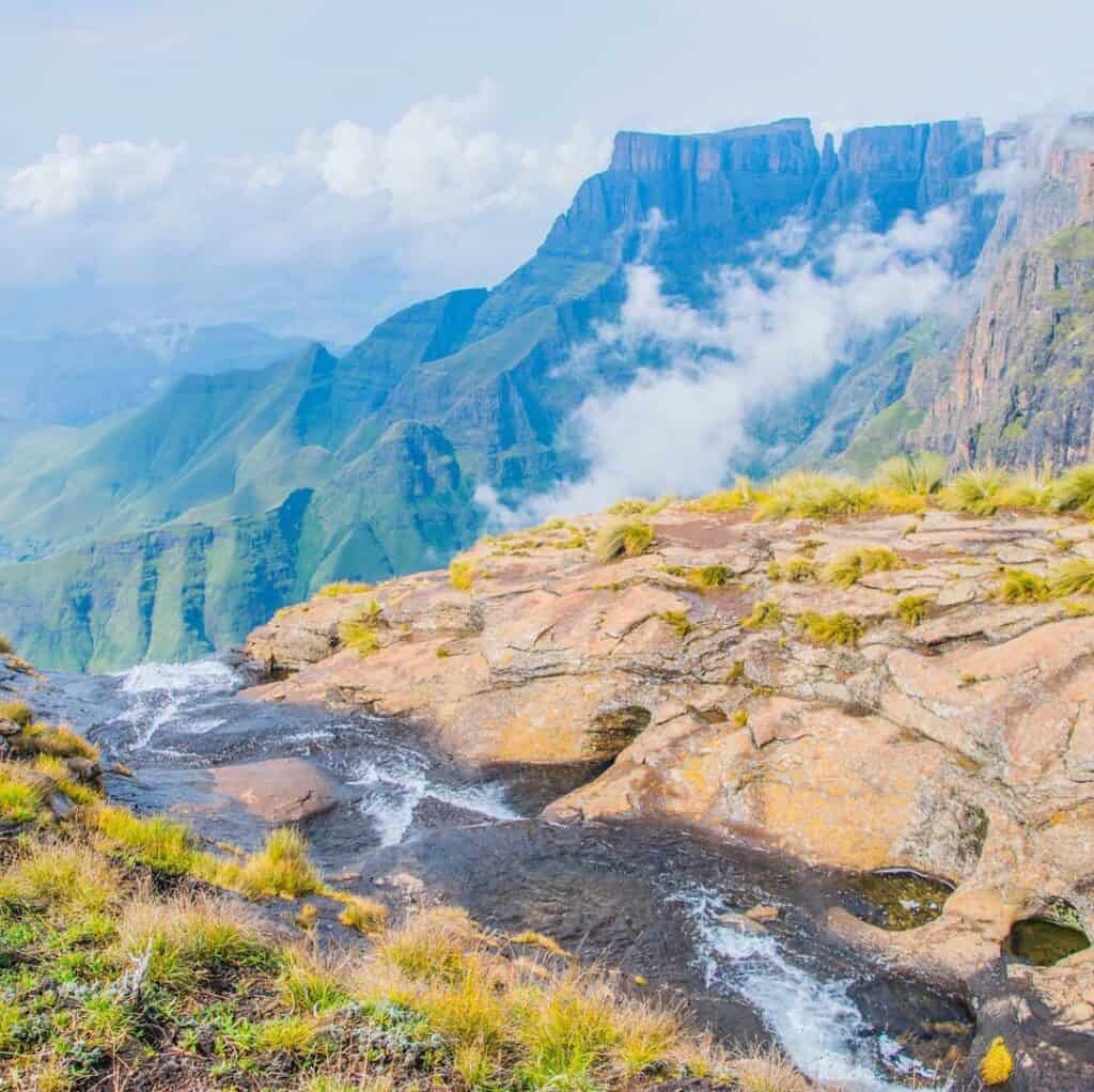 17663456 1821812714807204 8994081578510450688 n 1