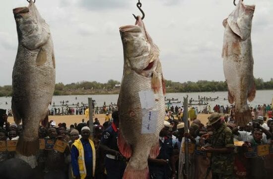 Argungun Fishing Festival