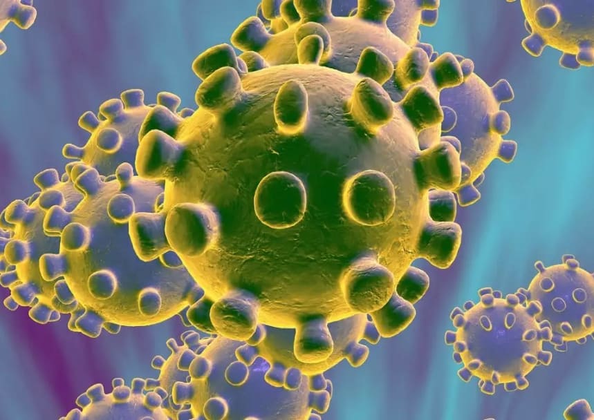 1580941598923 1581496296767