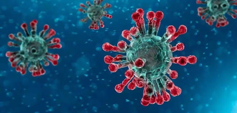 dt 200121 coronavirus 800x450 1581877406681 1