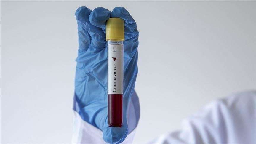 thumbs b c ac9244a097ef97478d7a12a5d0f6a862