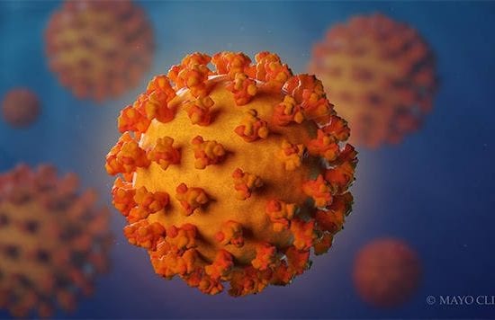 New Coronavirus cases
