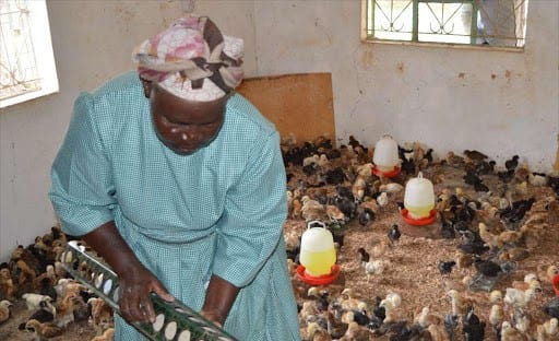 Poultry farming in Africa