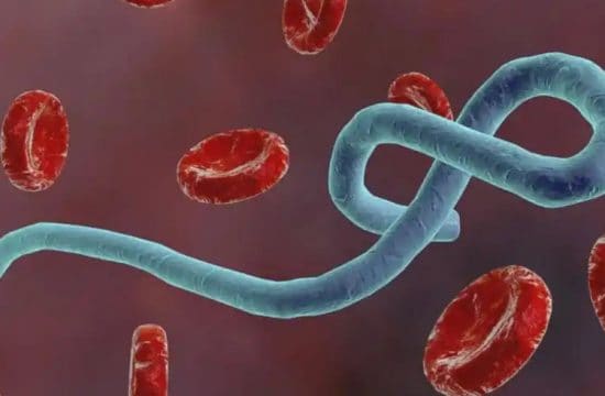 Ebola outbreak in DR Congo