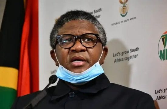 Mbalula urges taxi industry to reconsider decision to break lockdown laws