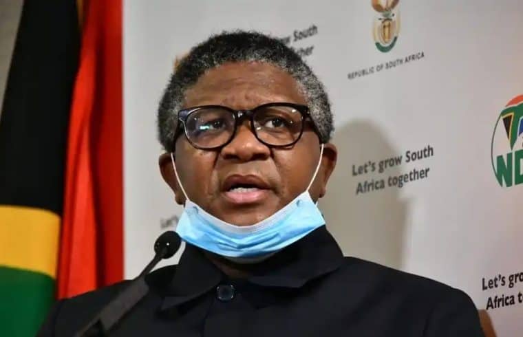 Mbalula urges taxi industry to reconsider decision to break lockdown laws