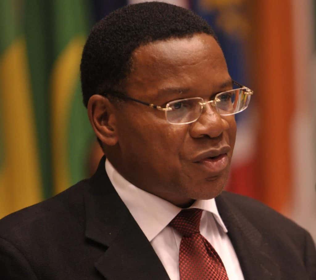 Bernard Membe 2009 cropped 1592838632324 1592838785344