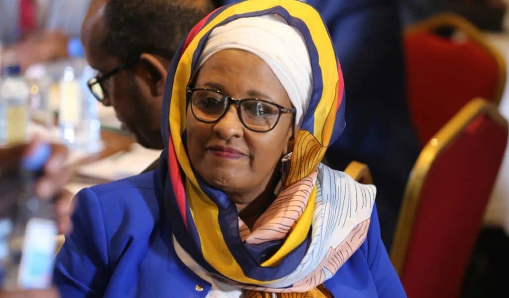 Halima Ismail Ibrahim April 2018 1593269490084