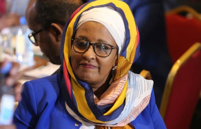 Impossible to hold 2020 polls - Somalia elections boss