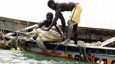 Senegalese fisherman protect sea turtles