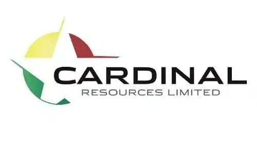 Cardinal urges acceptance of Shandong Gold offer