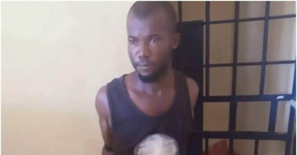 suspect 1594369024385