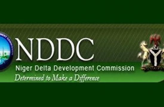 NDDC paid ‘scholarship grants’ to MD, directors – Senate report