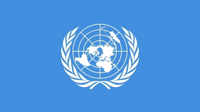 The UN Denounces Malian Junta Post-Coup d’état