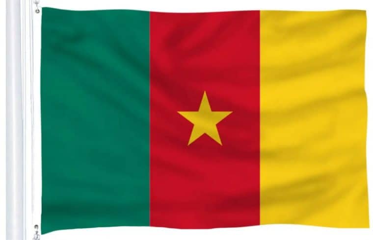 Cameroon: Protesters call for end to bloodshed from anglophone crisis