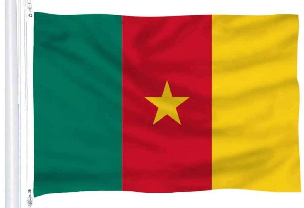 61Cnv0P3LeL. AC SL1500 1587099894160 1