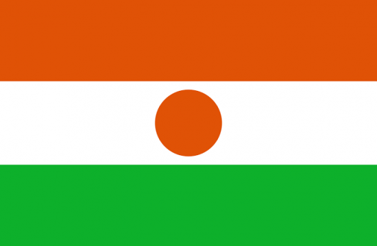 Vote,President,Niger,Election