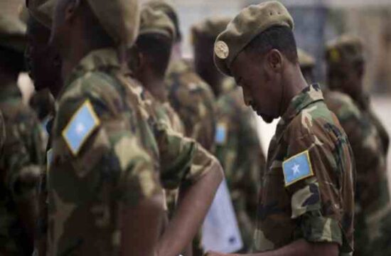 Somalia's military took part in the Tigray war,UN report