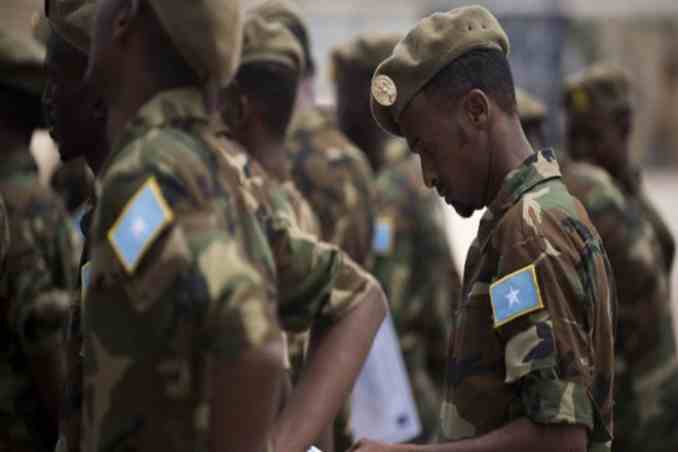 Somalia's military took part in the Tigray war,UN report