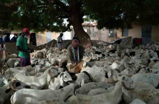 Millions in Senegal are preparing for Tabaski,pandemic in senegal