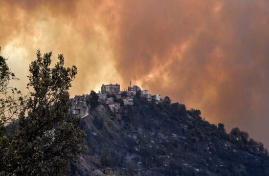 algeria wildfire