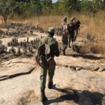 rangers in niassa national reserve, mozambique