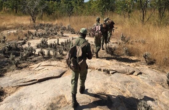 rangers in niassa national reserve, mozambique