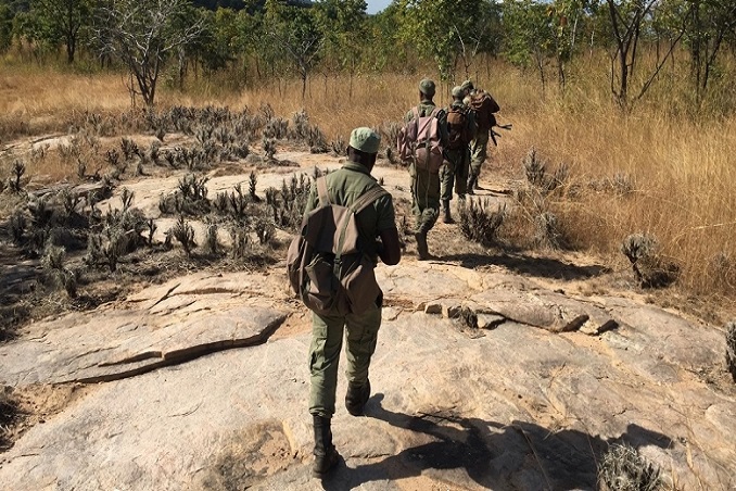 rangers in niassa national reserve, mozambique