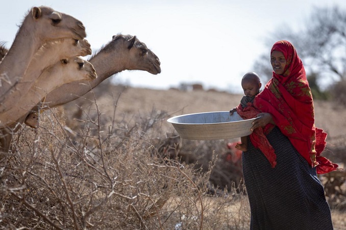 horn of africa millions at risk as drought threatens