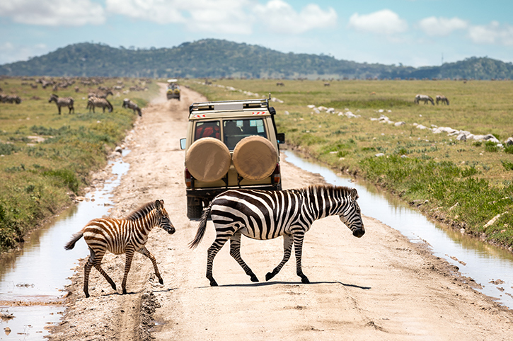 serengeti national park tanzania