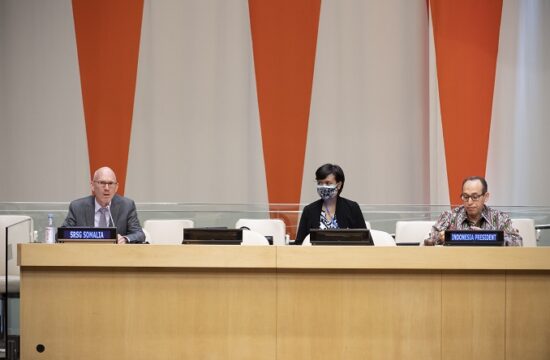 security council meeting on the situation in somalia.