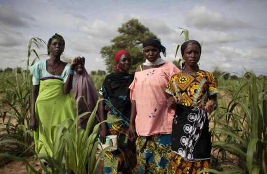 organizations say west africa is facing its worst food crisis in a decade