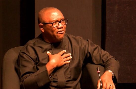 lunatics have taken over politics in nigeria, says peter obi