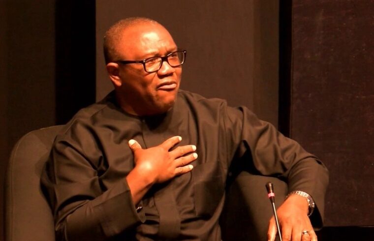lunatics have taken over politics in nigeria, says peter obi