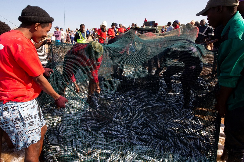 africa must advertise its blue economy