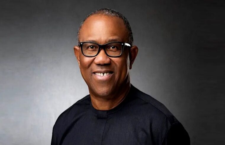 peter obi net worth and biography everything you need to know