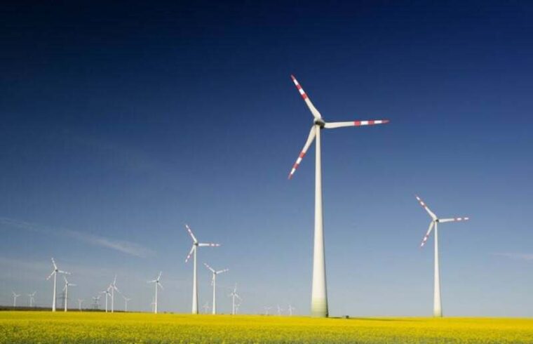 egypt to build $11bn wind farm from 2024
