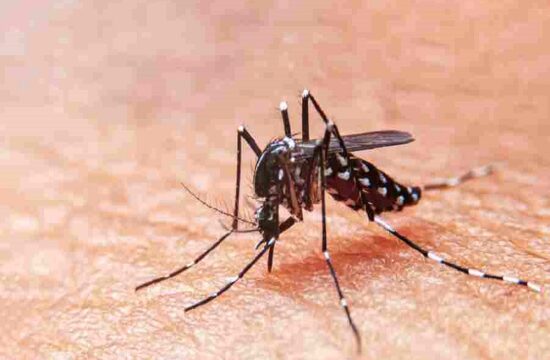 officials report 26 deaths in sudan due to a dengue fever outbreak