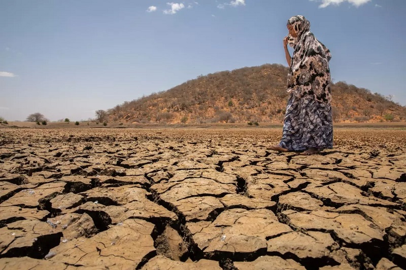 drought in the horn of africa is worse than the 2011 disaster.