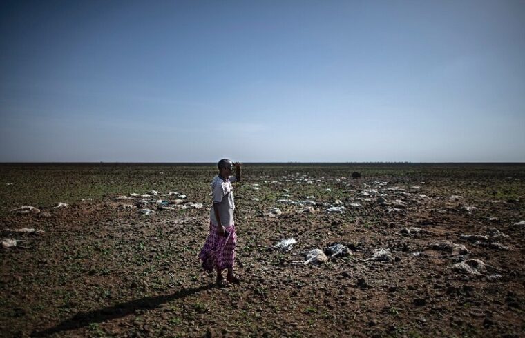 drought in the horn of africa puts 22 million people at risk of starving to death.