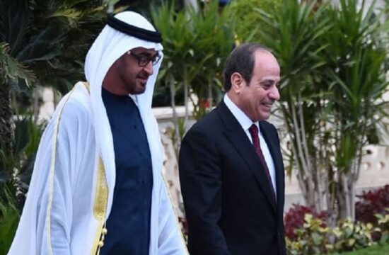 in cairo, the leaders of egypt and the united arab emirates discuss regional unity and bilateral ties