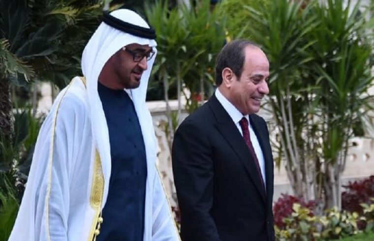 in cairo, the leaders of egypt and the united arab emirates discuss regional unity and bilateral ties