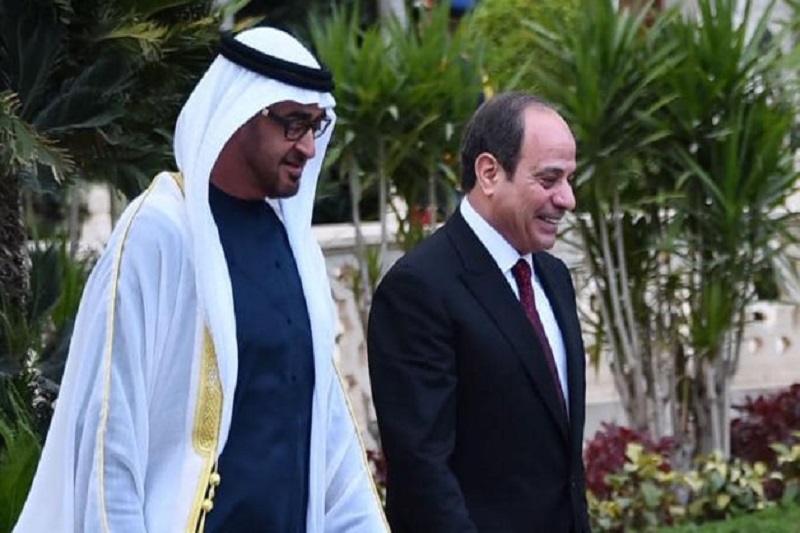 in cairo, the leaders of egypt and the united arab emirates discuss regional unity and bilateral ties