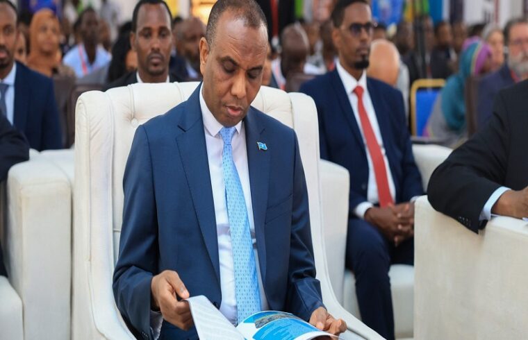 somalia's economic conference promotes partnership and economic potential
