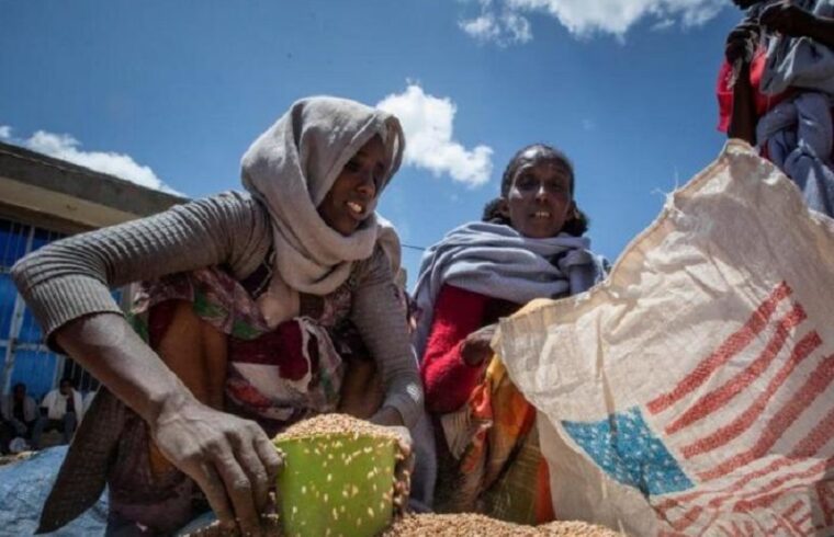 wfp and usaid cease part of their food aid to ethiopia