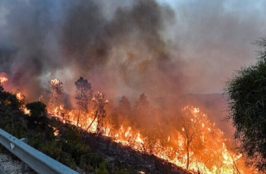 wind fanned fires and high heat kill around 30 people in algeria